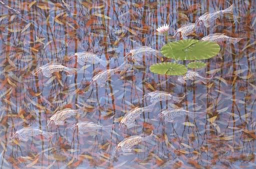 Lin Onus - Fish and Lillies