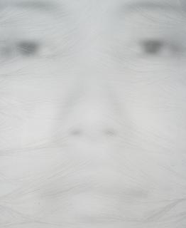 Lin Tianmiao - Focus 46