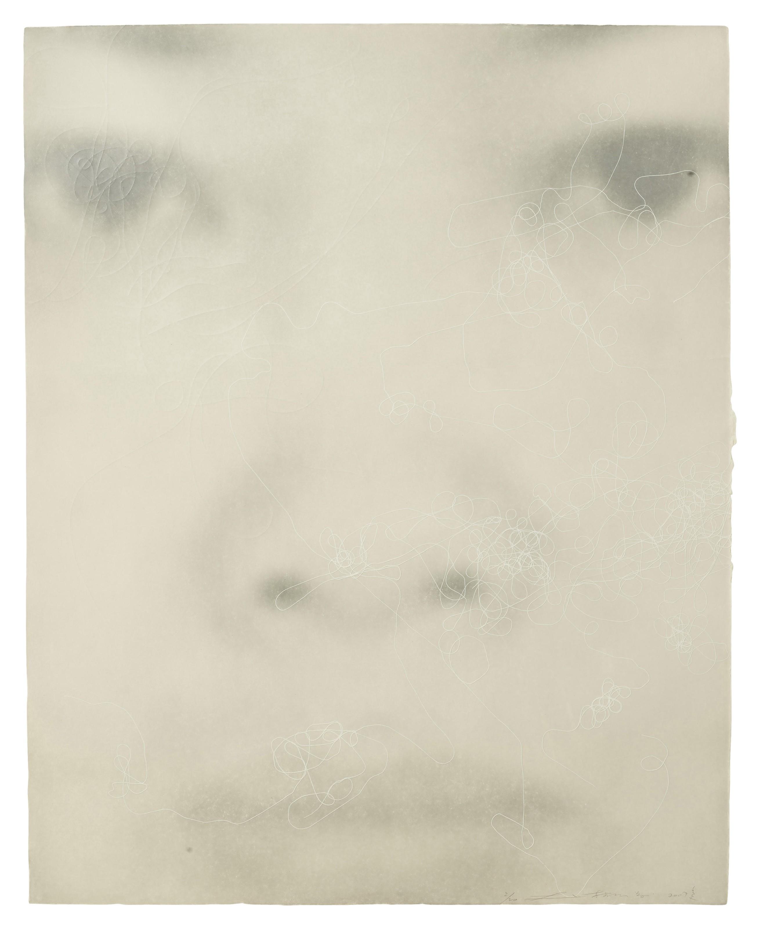 Lin Tianmiao - Focus III A