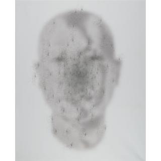 Lin Tianmiao - Focus No. 33