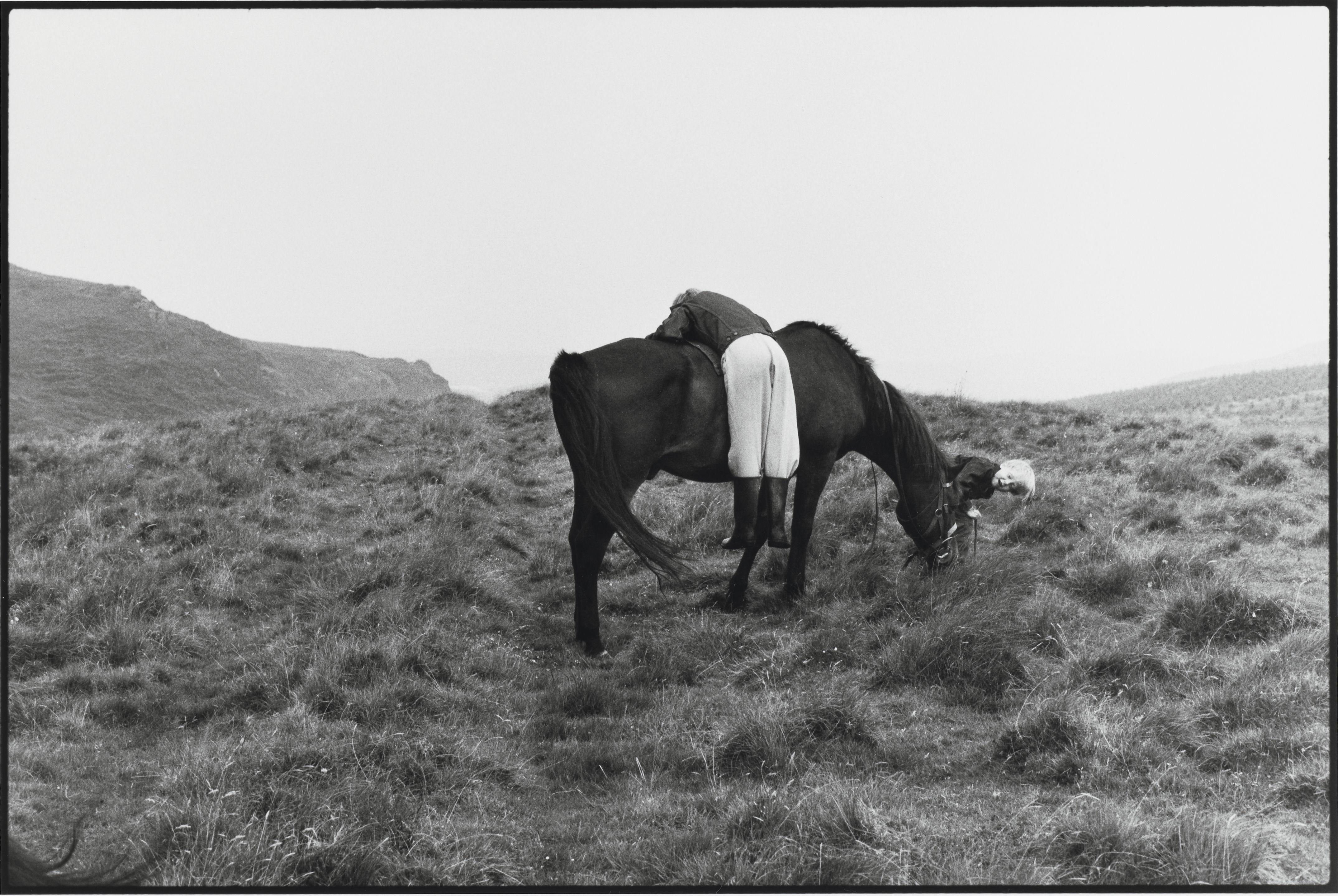 Linda McCartney - Horse