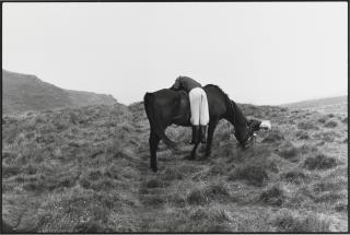 Linda McCartney - Horse