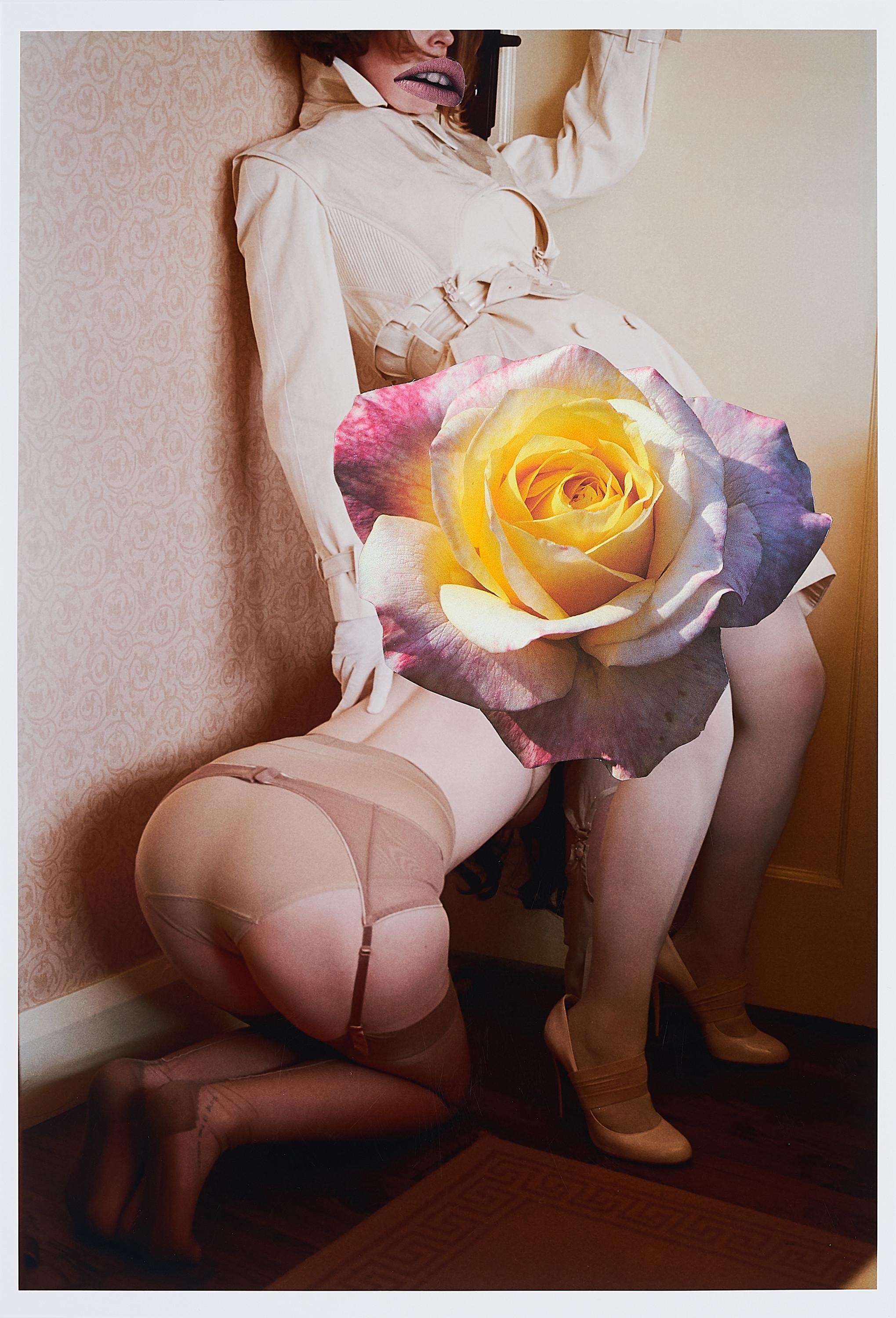 Linder - Oh grateful colours, bright looks.