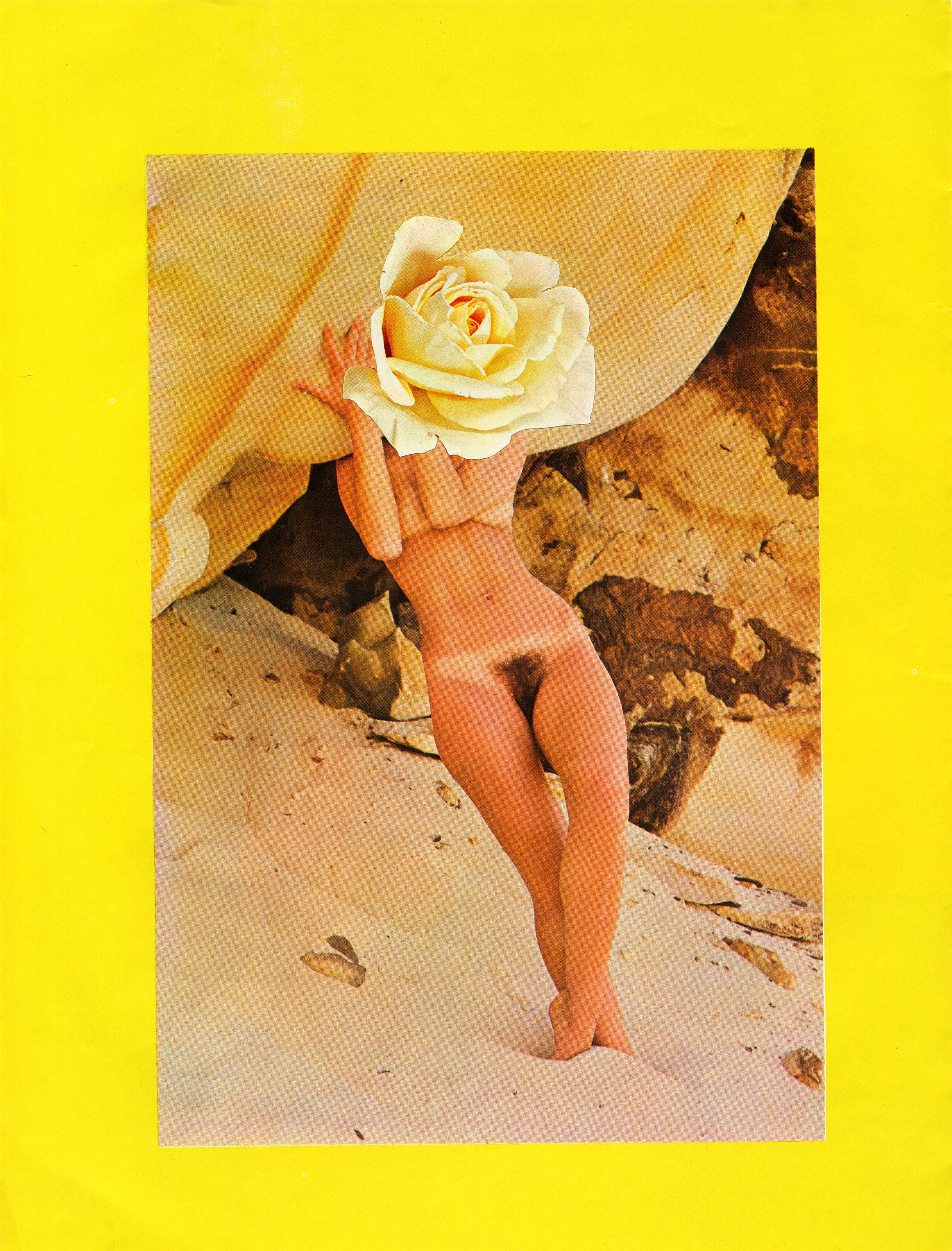 Linder - Star Series No. 1: Moonraker