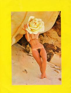 Linder - Star Series No. 1: Moonraker