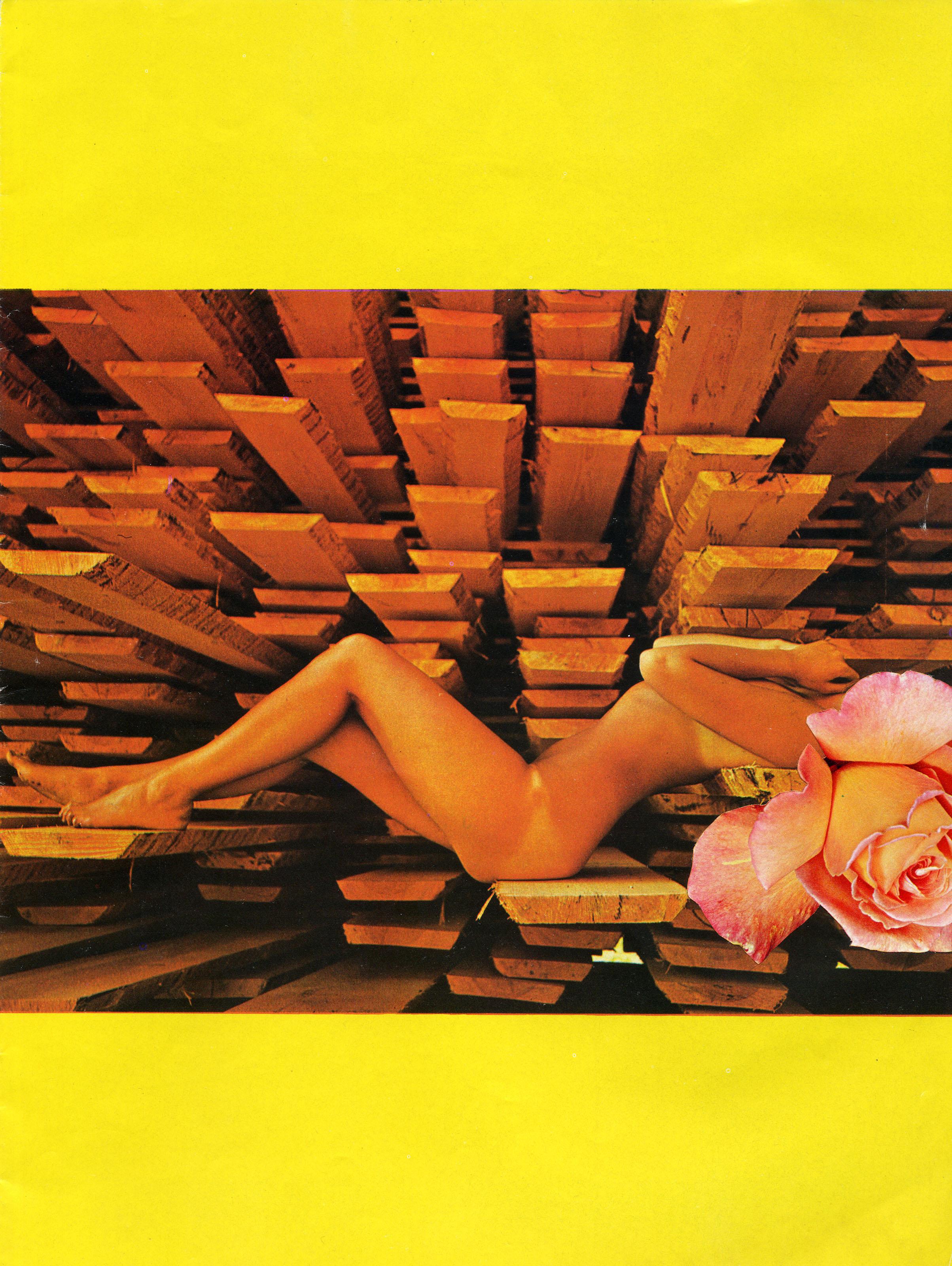 Linder - Star Series No. 1: Silva