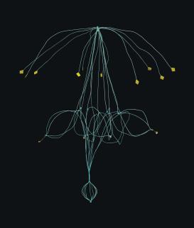 Lionel Estève - Colorbrolleke