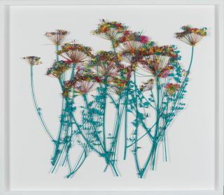 Lionel Esteve - Papier de provence