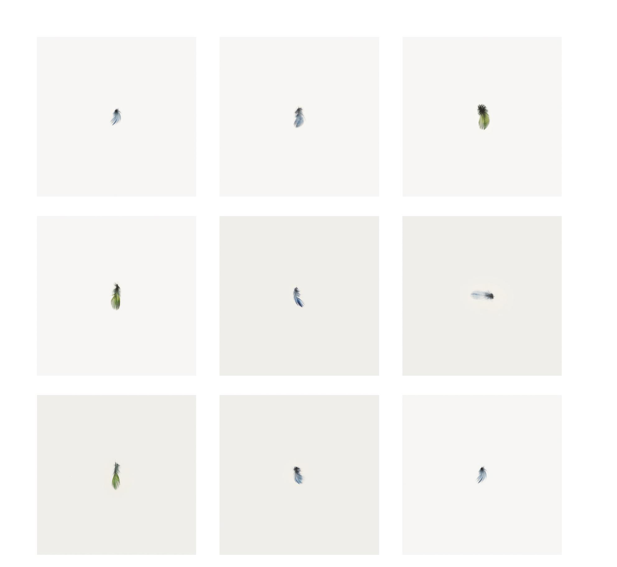 Lisa Tan - Cancer and Concussions