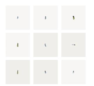 Lisa Tan - Cancer and Concussions