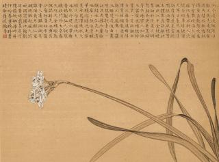 Liu Dan - Narcissus