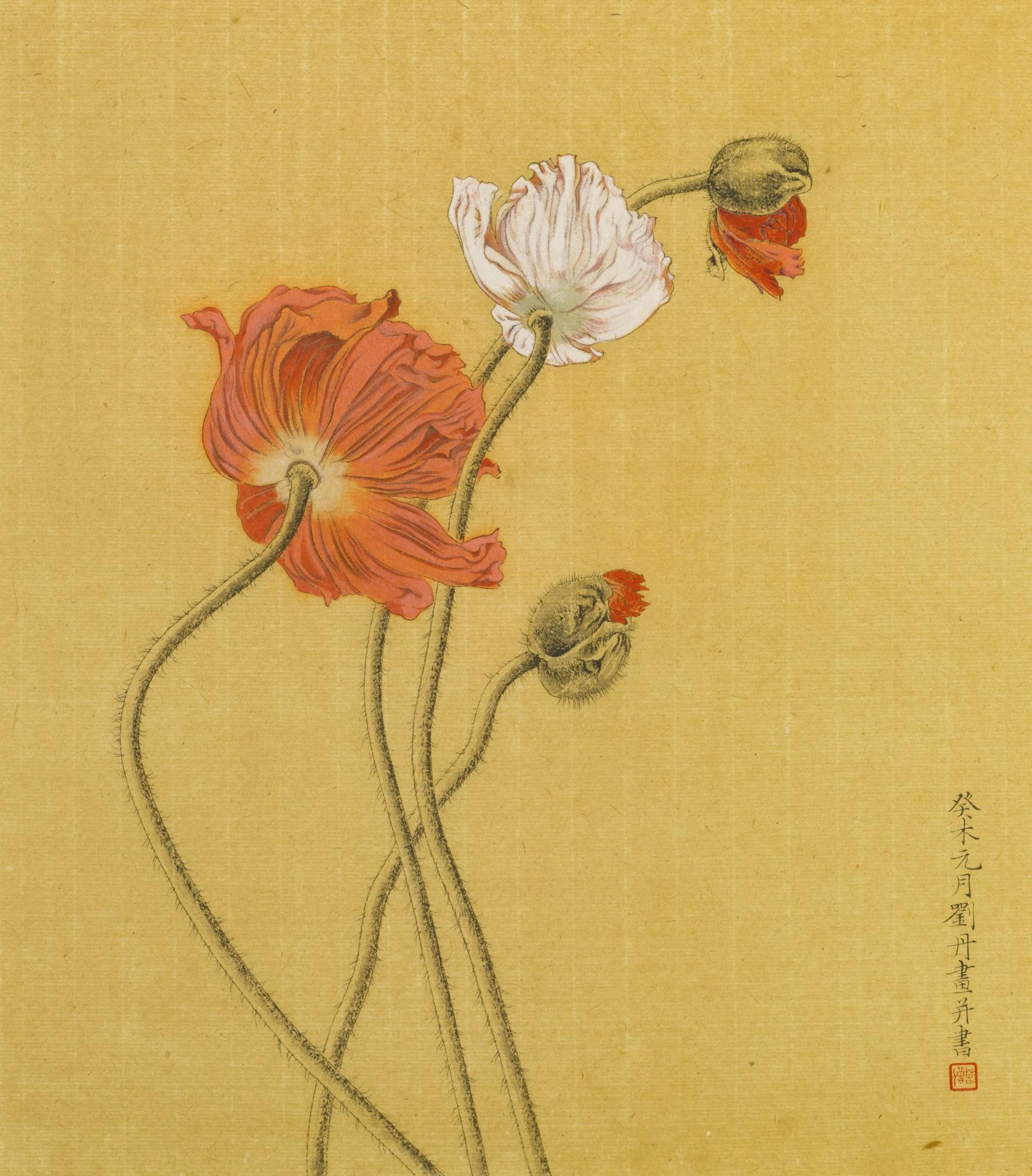 Liu Dan - Poppies