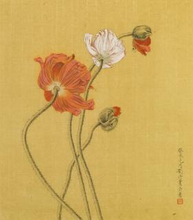 Liu Dan - Poppies