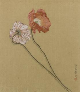 Liu Dan - Poppies