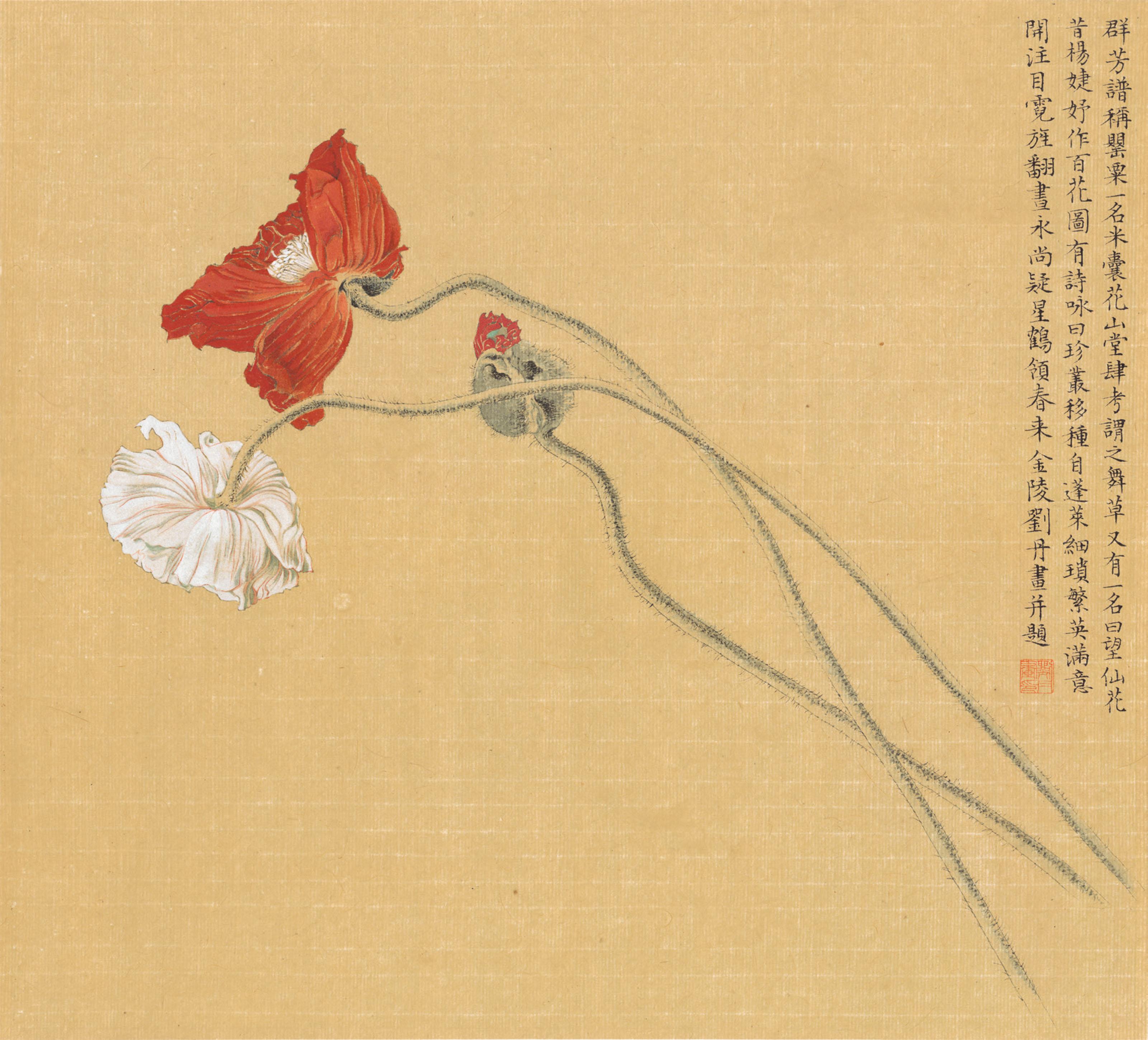 Liu Dan - Poppies