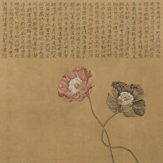 Liu Dan - Proud and Shy