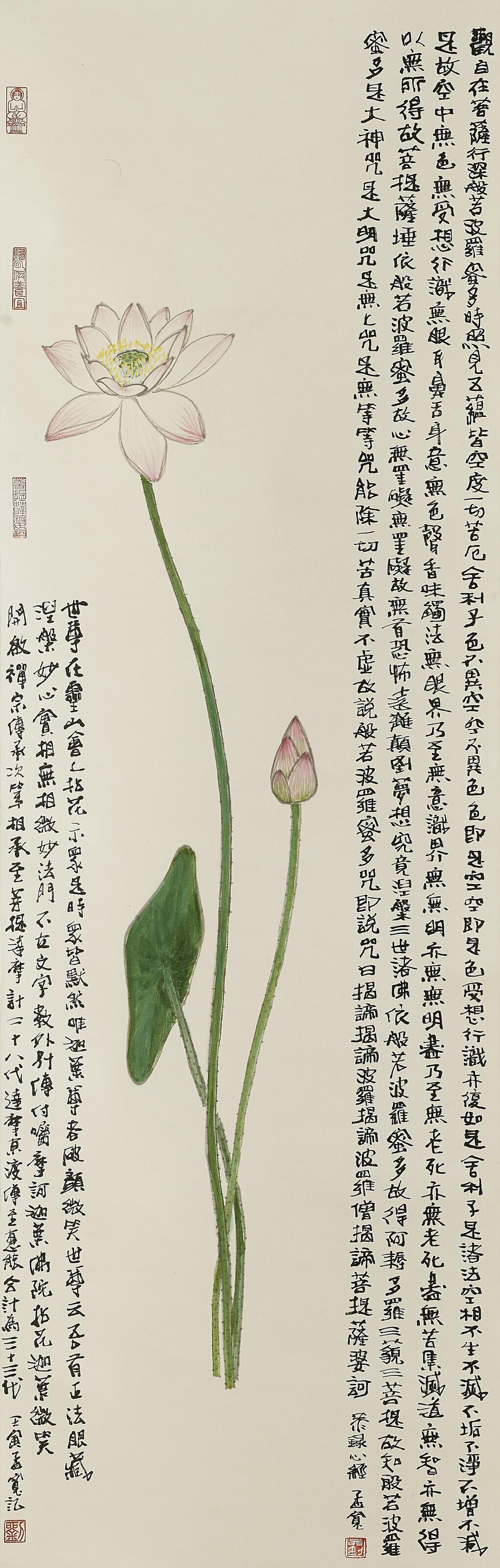 Liu Mengkuan - Lotus