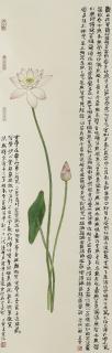 Liu Mengkuan - Lotus