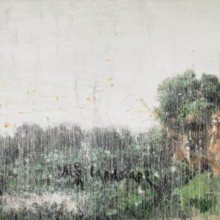 Liu Wei - Landscape