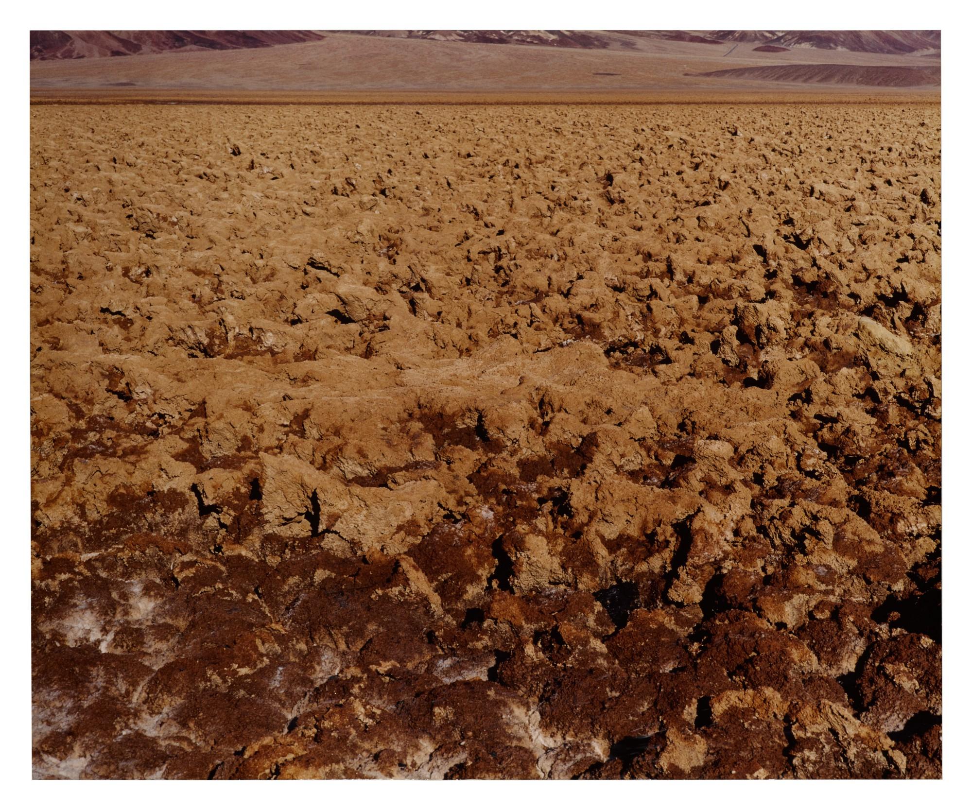 Liz Deschenes - \'170 Feet Below Sea Level\'