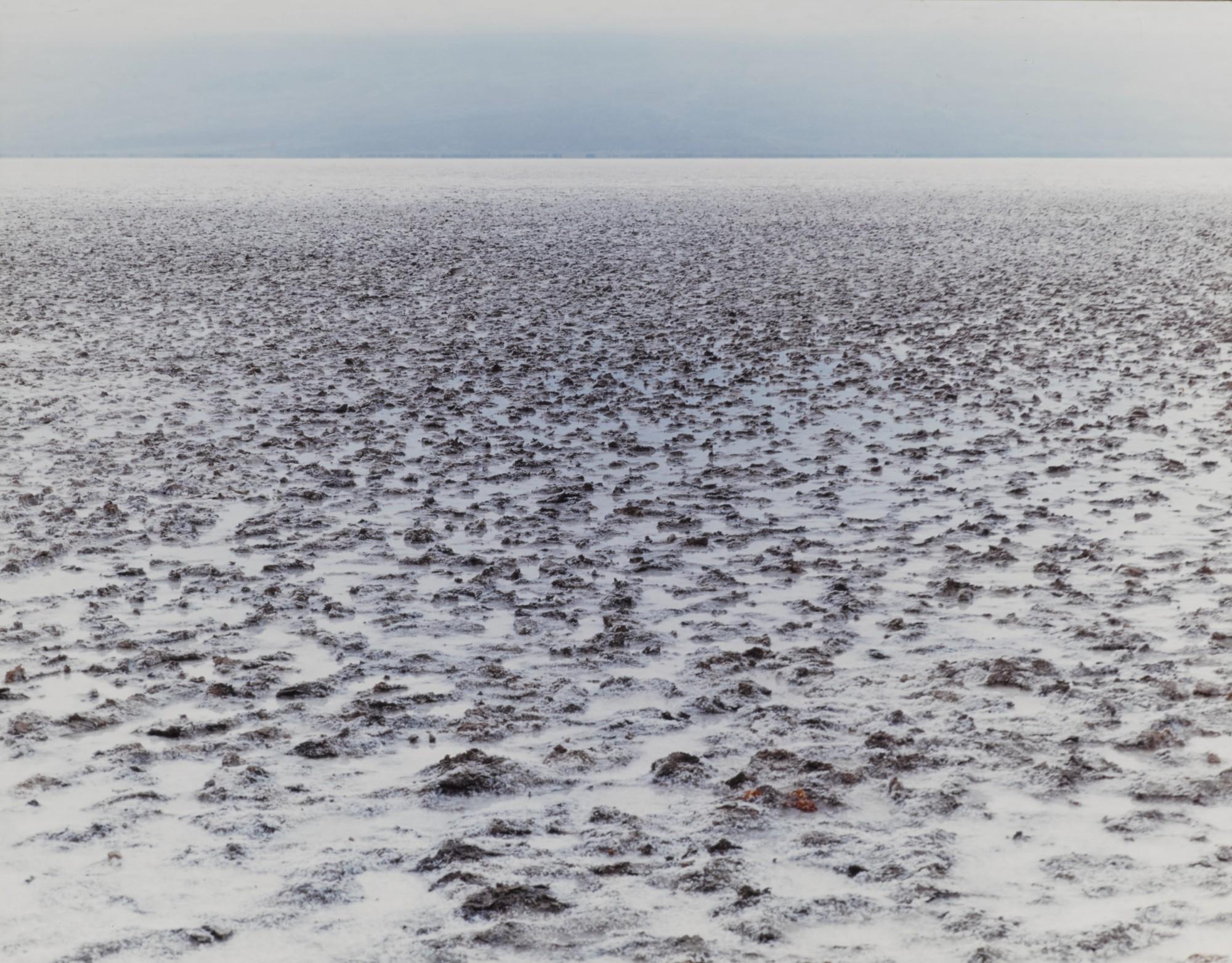 Liz Deschenes - \'275 Feet Below Sea Level\'