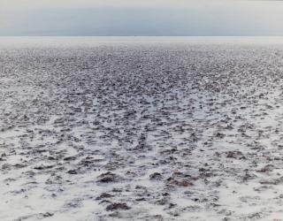 Liz Deschenes - \'275 Feet Below Sea Level\'