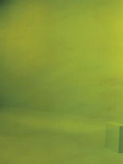 Liz Deschenes - Green Screen #5