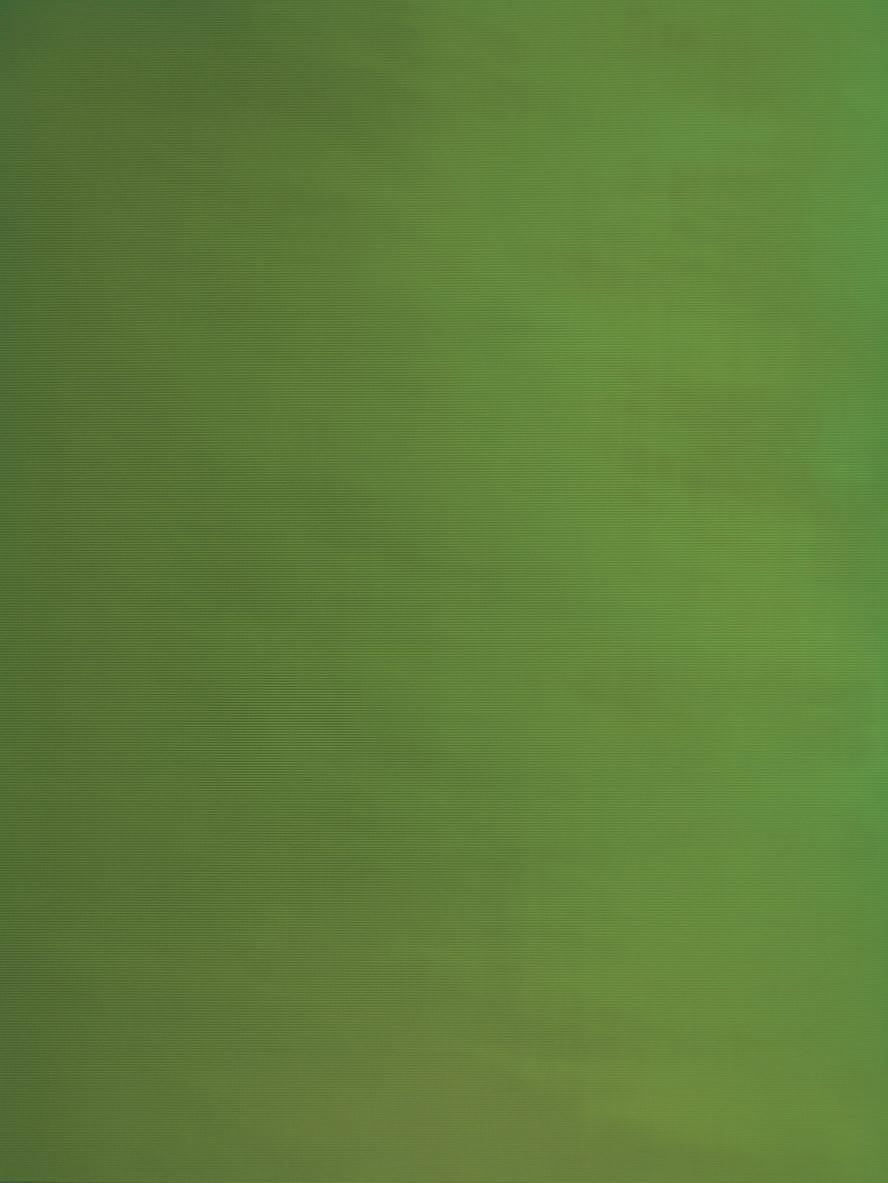 Liz Deschenes - Green Screen #7