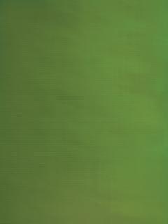 Liz Deschenes - Green Screen #7