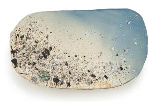 Liz Larner - Iv (Calefaction)