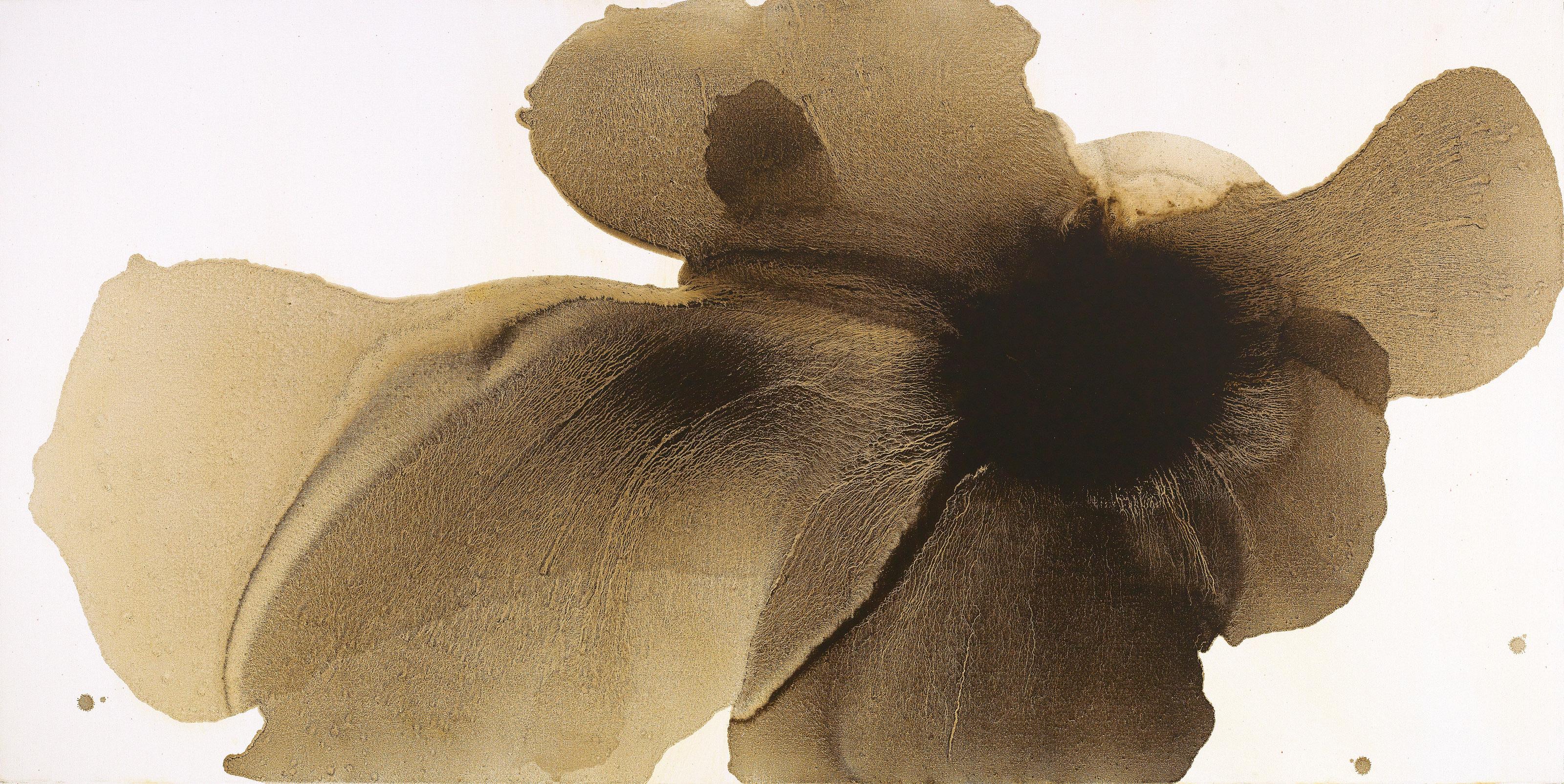 Lizi Mao - Ambiguous Flower