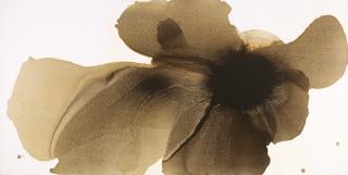 Lizi Mao - Ambiguous Flower