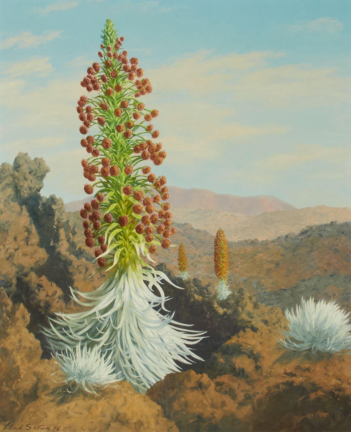 Lloyd Sexton, Jr. - Landscape with Haleakala Silversword