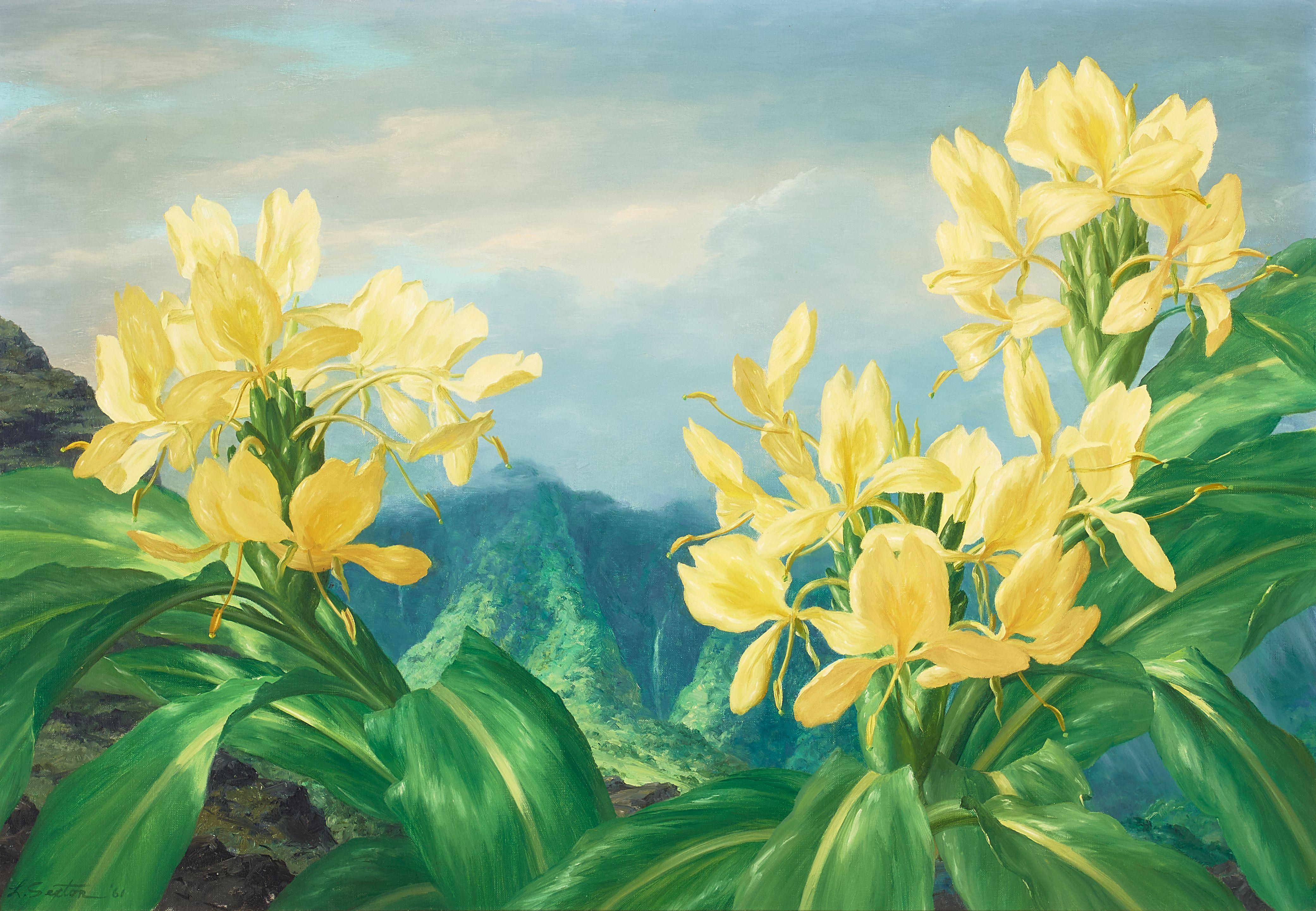 Lloyd Sexton, Jr. - Yellow Ginger on Tantalus Overlooking Manoa Valley Falls, Oʻahu