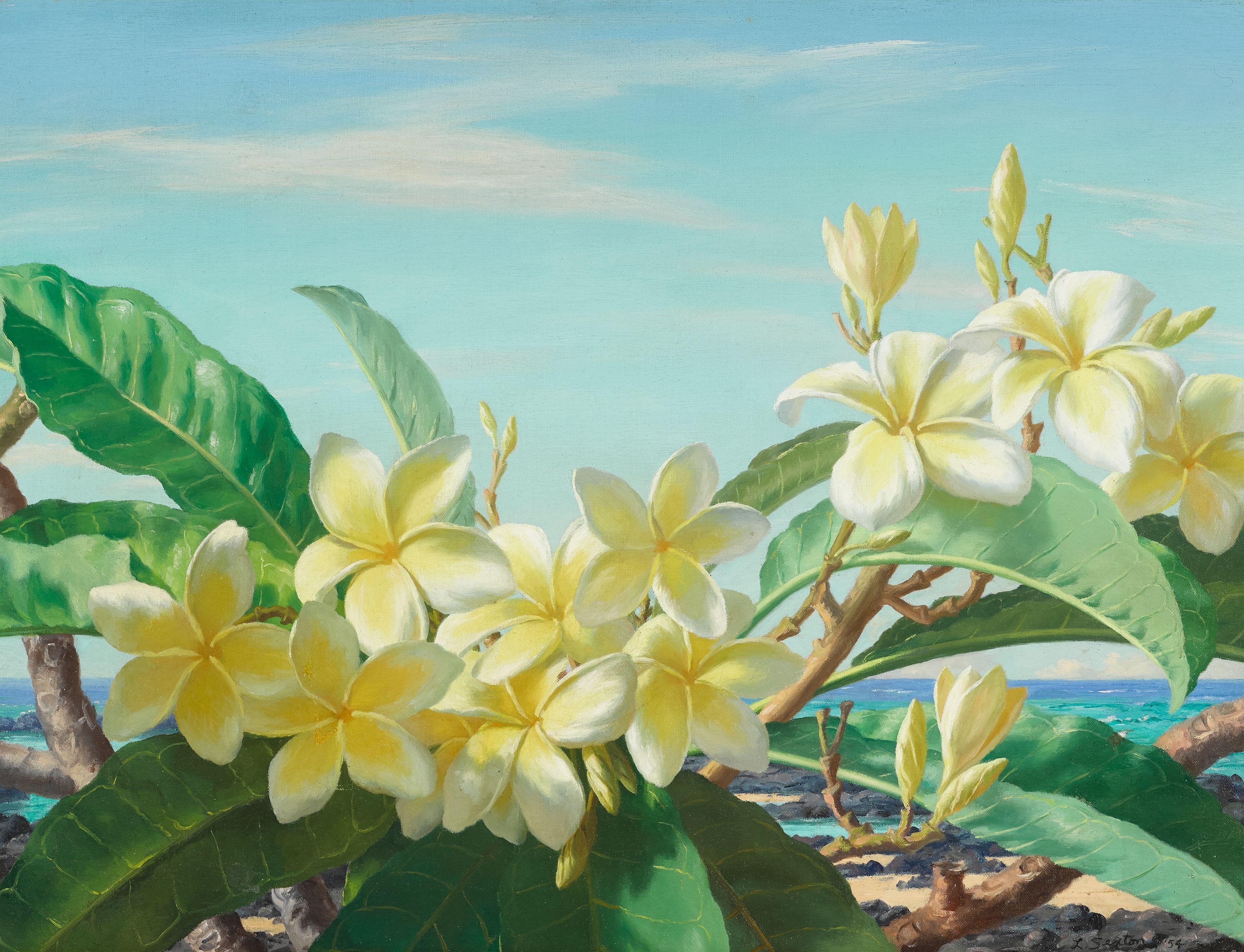 Lloyd Sexton, Jr. - Yellow plumerias along the coast