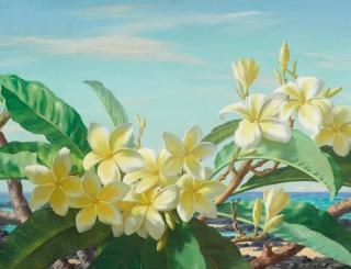 Lloyd Sexton, Jr. - Yellow plumerias along the coast