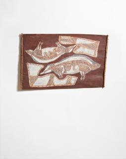 Lofty Bardayal Nadjamerrek - Ngarrbek (Echidnas)