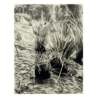 Loie Hollowell - David in the Tall Grass, circa 2004