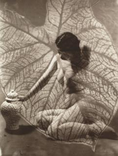 Long Chin-San - Through the Leave Pattern