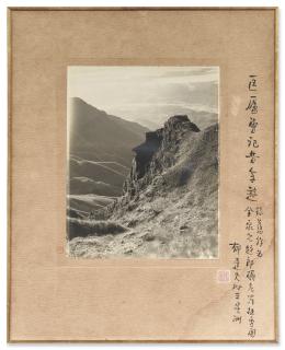 Long Chin-San - Trees Along With The Cliff