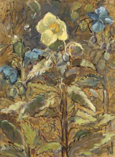 Lord Methuen, R.A., R.W.S. - Meconopsis Regia And Meconopsis Betonicifolia, From The Himalayas