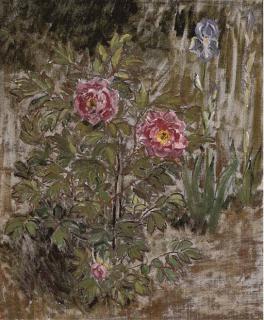 Lord Methuen, R.A., R.W.S. - Tree Paeony \'Elizabeth\' And Iris Pallida