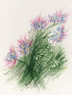 Loren Maciver - Flowers