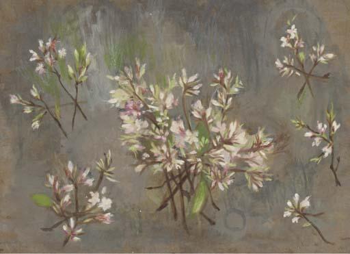 Loren Maciver - Study of Flowers