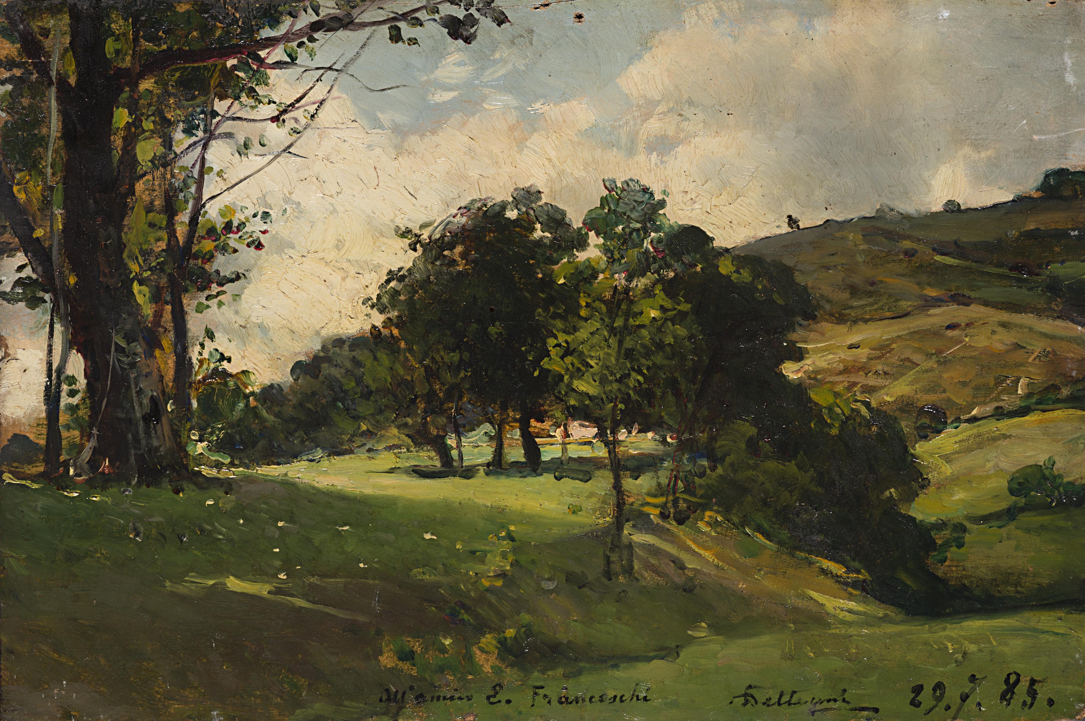 Lorenzo Delleani - Colline piemontesi