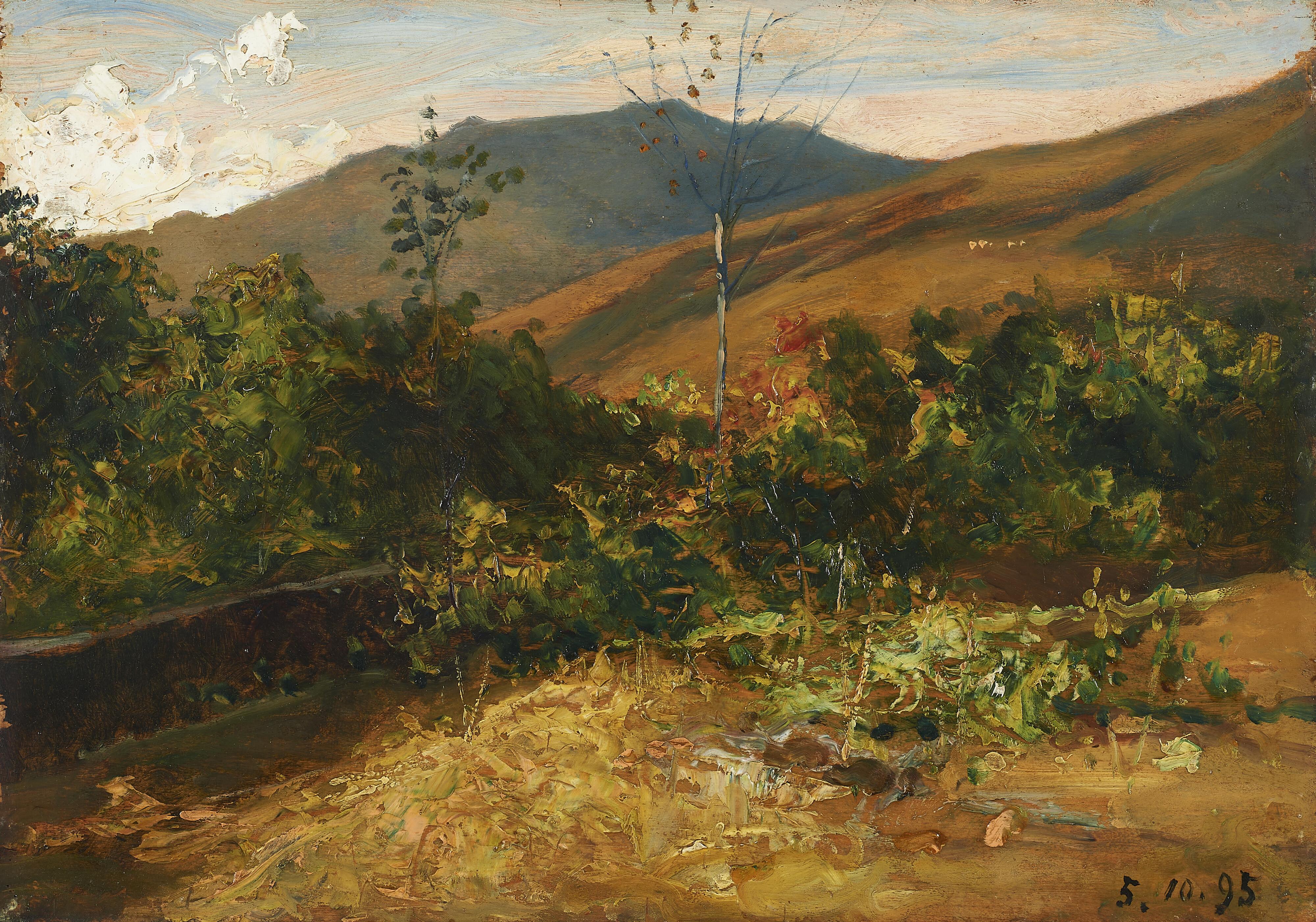 Lorenzo Delleani - Nel biellese