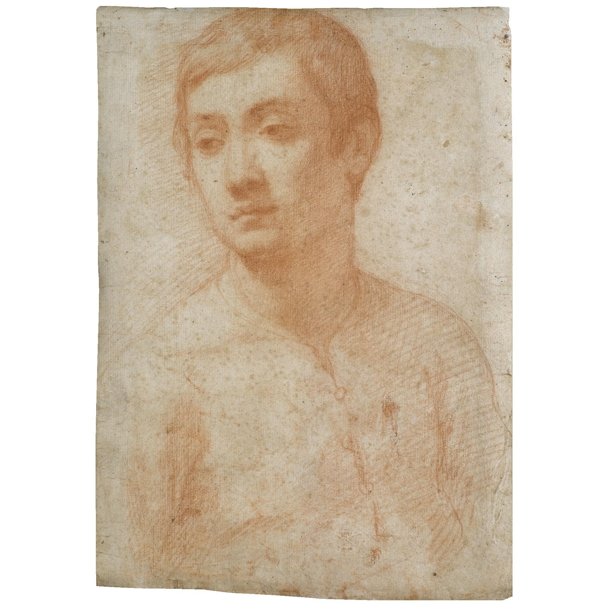 Lorenzo Lippi - Head Of A Youth Looking To The Right