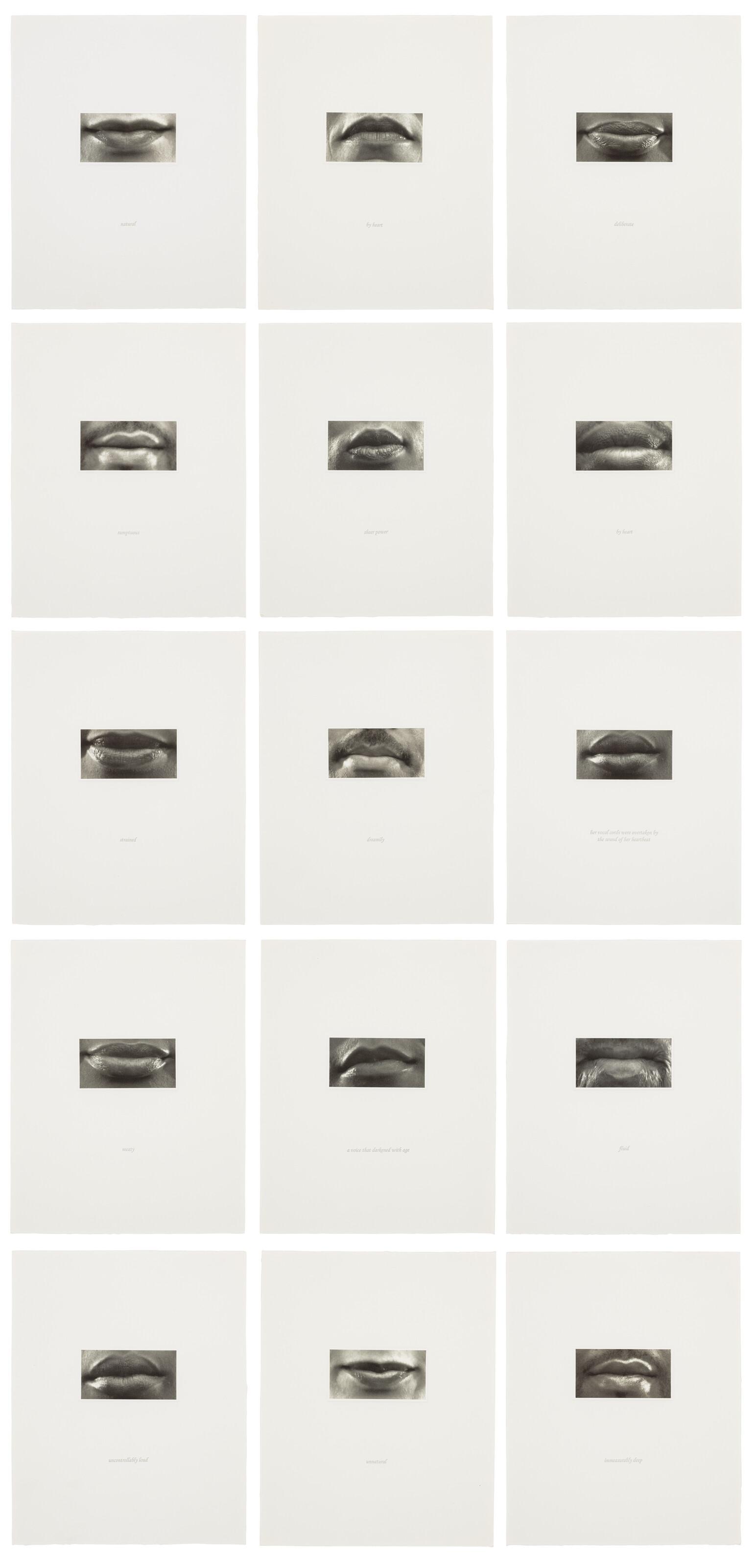 Lorna Simpson - 15 Mouths