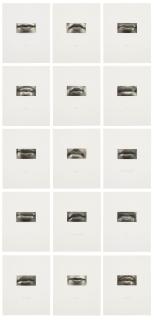 Lorna Simpson - 15 Mouths