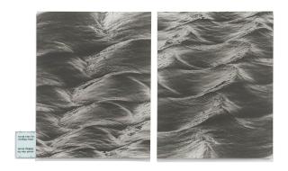 Lorna Simpson - 2 Bodies of Water